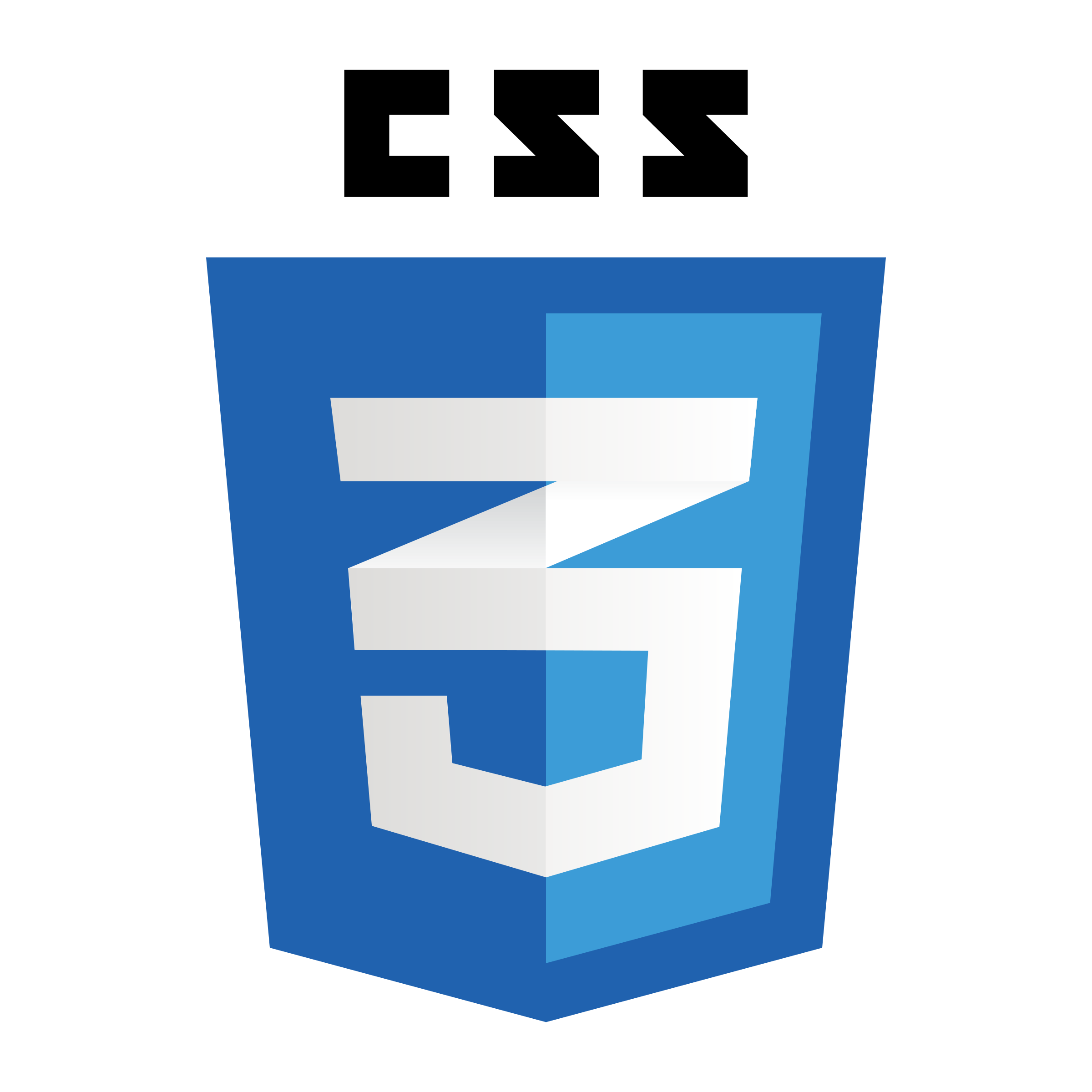 css_logo